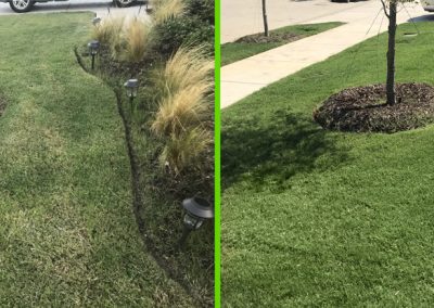 Before & After Lawn Fertilization